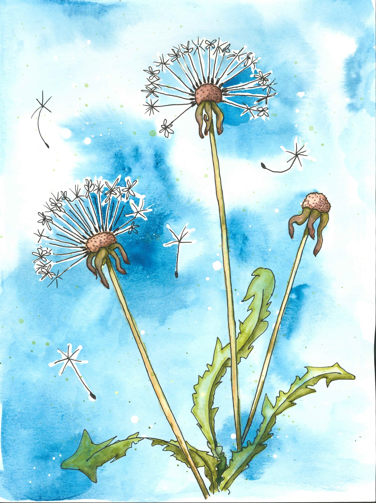 Three dandelions with seed heads against a blue sky background, with some seeds floating around, and green leaves at the base.