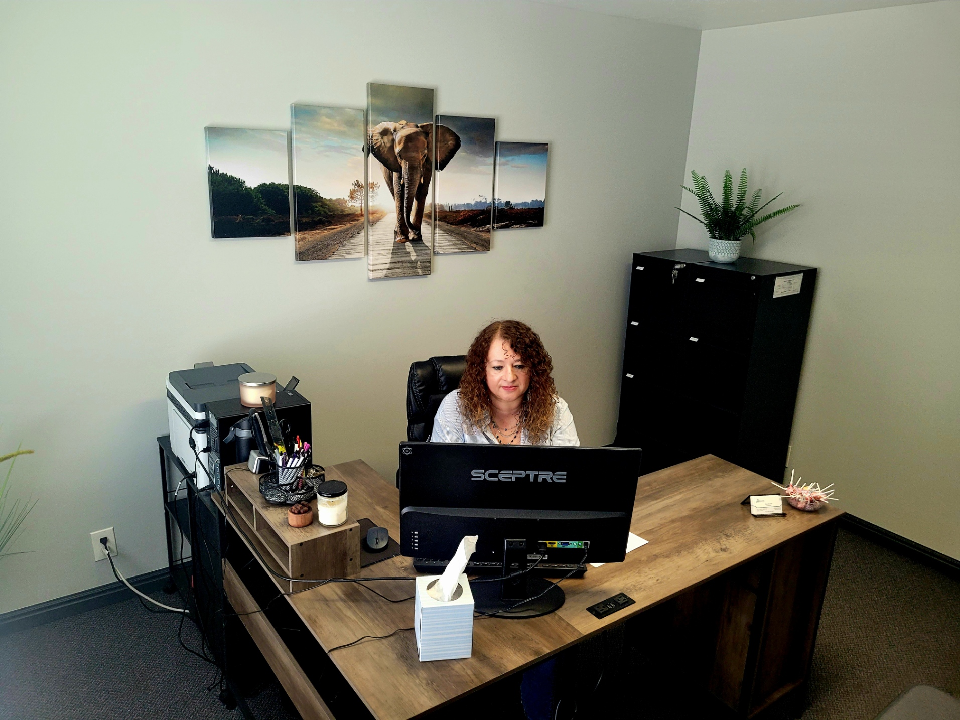 Woman sitting at a desk with a computer, in an office with a multi-panel elephant picture on the wall.