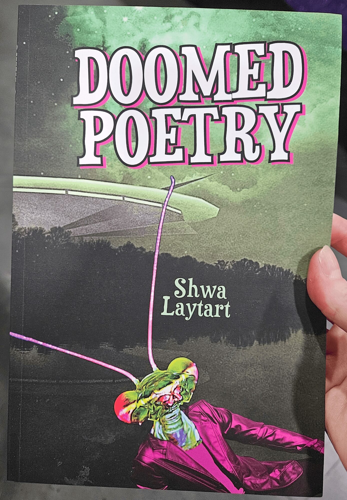 Book cover titled 'Doomed Poetry' by Shwa Laytart, featuring a person in a pink jacket lying on the ground with a fishing rod.