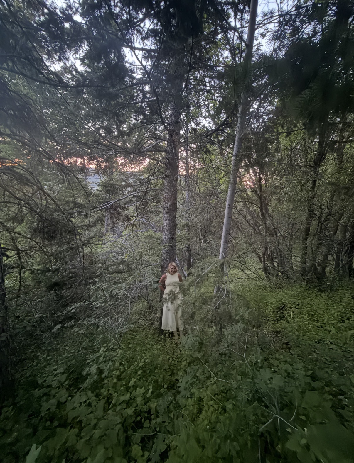 Person standing among trees in a forested area during daylight, wearing a light-colored dress, surrounded by greenery.