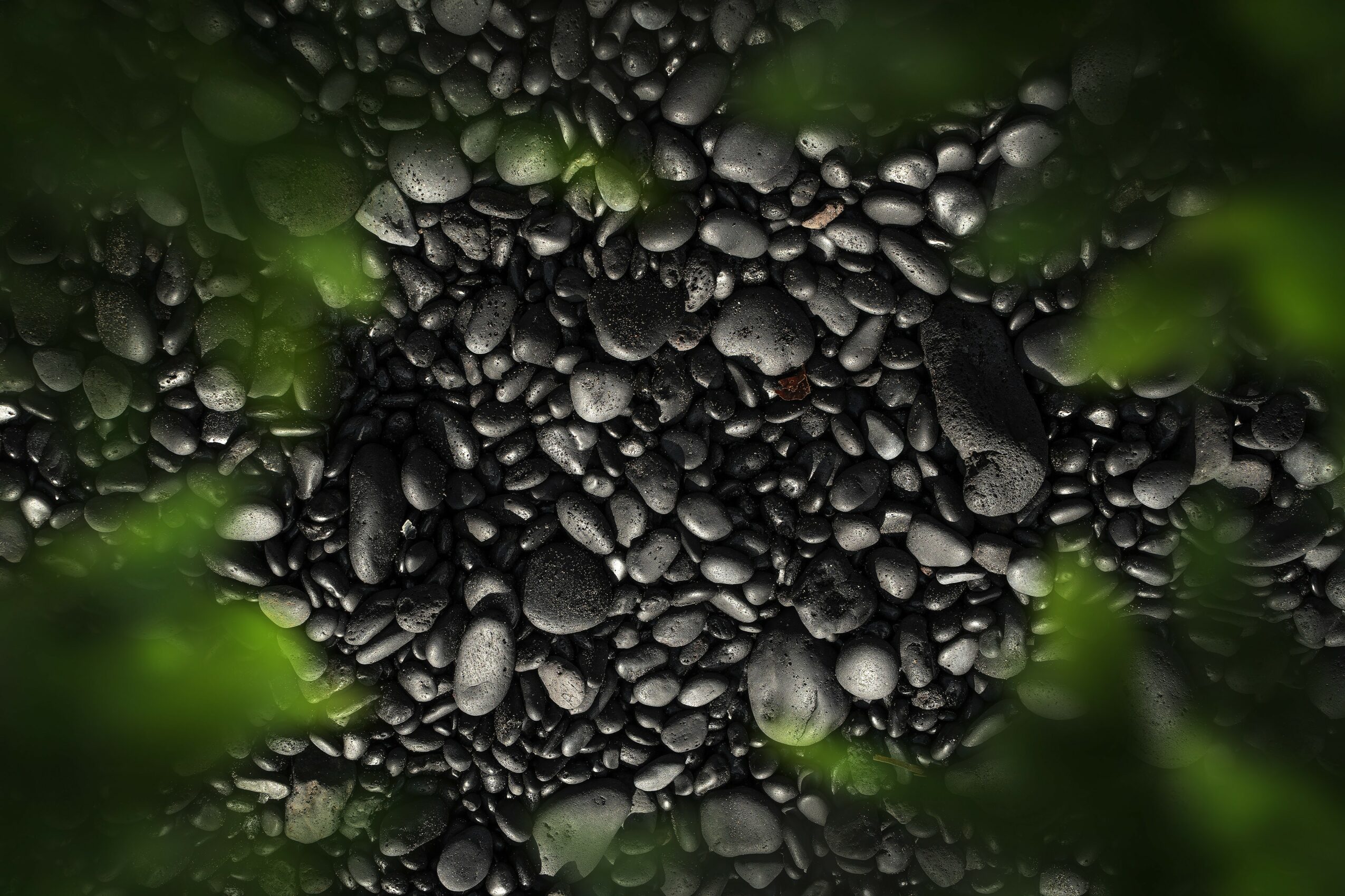 Close-up of black pebbles surrounded by green leaves, with water droplets on the stones.