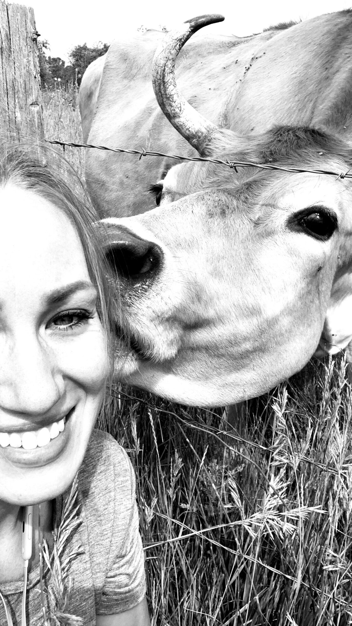 Person smiling with a cow close to their face outdoors, grass and a fence in the background.