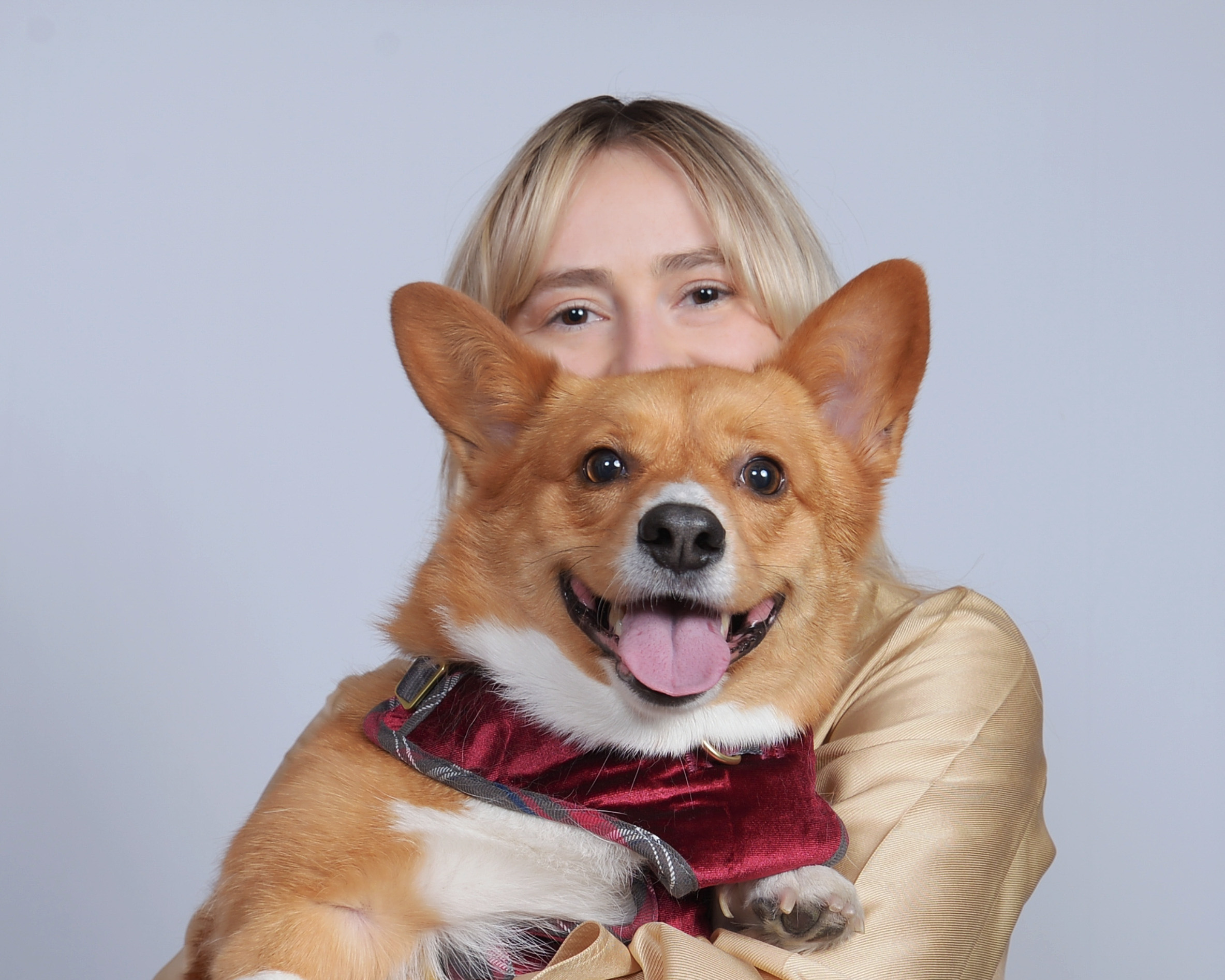Person hugging a smiling dog with large ears and a red bandana, light background.