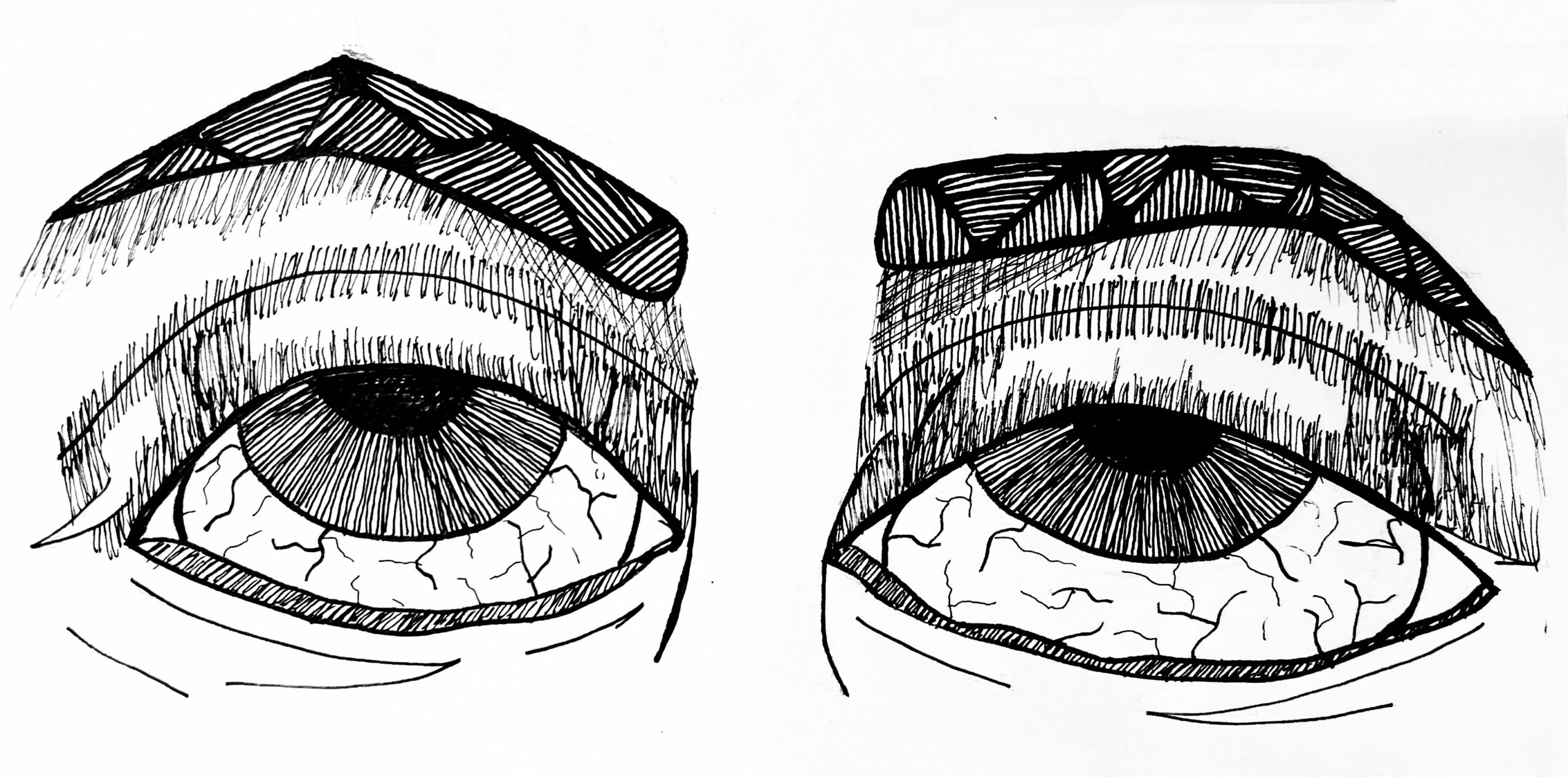 Two black and white sketches of eyes with detailed eyelashes and irises, side by side.