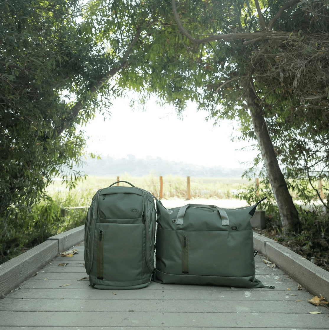 Two green backpacks on a wooden pathway surrounded by trees and greenery, with a bright sky in the background.