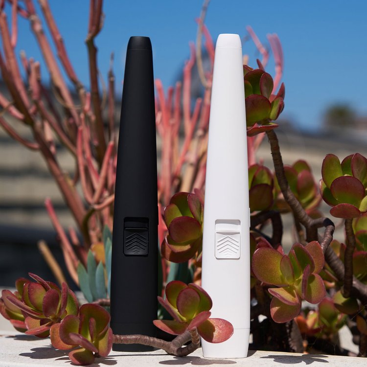 Two electronic devices, one black and one white, standing upright among green and reddish plants outdoors.